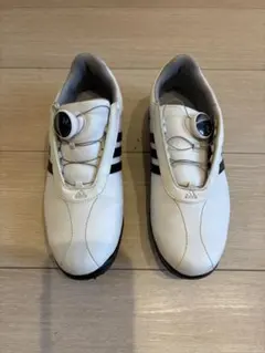 adidas ゴルフシューズ BOAシステム ホワイト