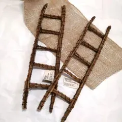 Item thumbnail for item 9e37690f-5eeb-4074-8276-dbb70359a435