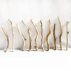 Item thumbnail for item 18ebd96d-272b-486d-b73f-724fc1b6ce8b