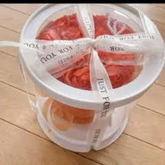 Item thumbnail for item 47442cfb-86fc-41c2-a7ed-648dd7e0290d