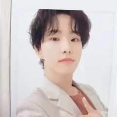 SEVENTEEN ホシ　HAREトレカ