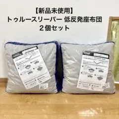 2025年最新】トゥルースリーパー 座布団の人気アイテム - メルカリ