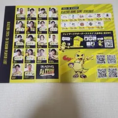 新品未使用 デッドストック 日鐵時代 堺ブレイザーズ 男子バレーボール 90s 新品未使用 デッドストック 日鐵時代 堺ブレイザーズ 男子