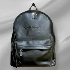 2026年最新】COACH メンズ リュック・バックパックの人気アイテム