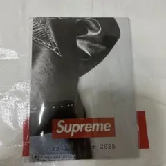 25fw Supreme POSTER 2025 カタログ　ポスター