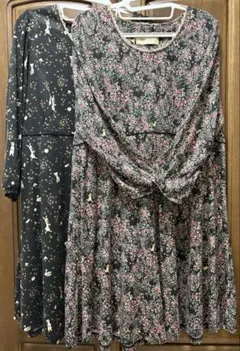 フランシュリッペ fl5