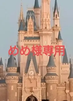 めめ様 リクエスト 2点 まとめ商品