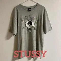 STUSSY Tシャツ