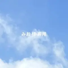 専用ページ