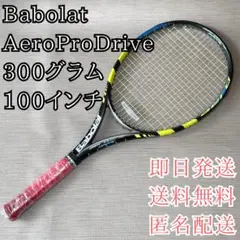 2025年最新】Aero Pro Drive 中古の人気アイテム - メルカリ