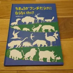 Item thumbnail for item 08fcab19-f986-4494-a3fa-e5d18f378604