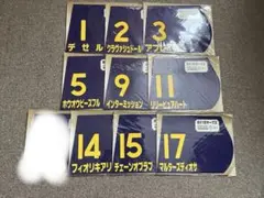 優勝ジョッキーサイン入り　本橋騎手　重賞レプリカゼッケン　ランリョウオー 優勝ジョッキーサイン入り 本橋騎手 重賞レプリカゼッケン