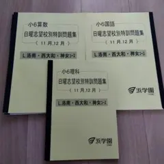 2025年最新】L洛南西大和の人気アイテム - メルカリ