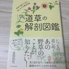 道草の解剖図鑑