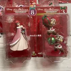 ˗ˏˋAtszさん専用ˎˊ˗