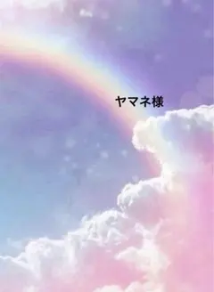 ヤマネ様 リクエスト 5点 まとめ商品