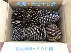 Item thumbnail for item 71b302bc-b001-41e8-a6a8-86e79396f4d7