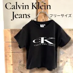 カルバンクライン 丈短 CK ロゴT クロップド丈 黒 Y2K 美品　tシャツ