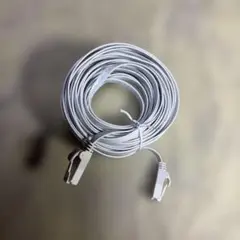 エレコム製 ホワイト LANケーブル 10m