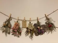 Item thumbnail for item 18cc60bd-5011-442c-b440-f64340341aee