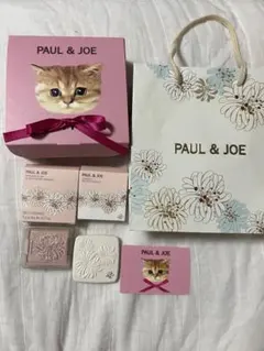 未使用 PAUL & JOE パウダーチーク コントロールコンパクト01のサムネイル