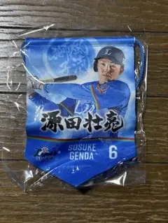 埼玉西武ライオンズ ミニタペストリー 源田壮亮