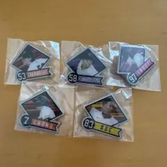 読売ジャイアンツ　ピンバッジセット 5個