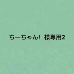 ちーちゃん！様専用2