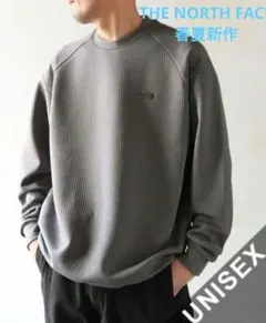 THE NORTH FACE ロングスリーブドットニットクルー 長袖М 春夏新作