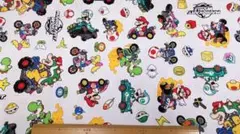 専用、 マリオカートワールド2点