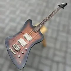 美品　Epiphone ベースケース サンダーバード用　チャック若干難あり epi-fi-ha-1.jpg