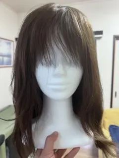 DOLK】世界限定20体