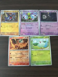 テラスタルフェス　モンボミラー