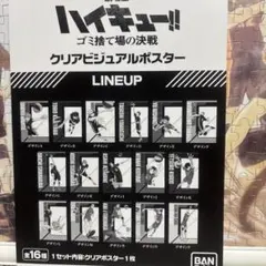 ハイキュー!! 日向翔陽 クリアビジュアルポスター