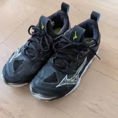 Mizuno バレーボールシューズ 24.0cm ブラック
