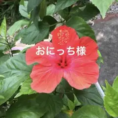 デニムリメイクバック