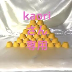 kaoriさん専用・日本蜜蜂の蜜蝋ブロック30個セット