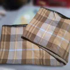 Item thumbnail for item 41da108c-3c24-49e2-a51a-53fc68ebfeb4