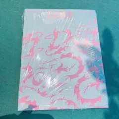 スキズ　DO it ITver. 通常盤　開封済み