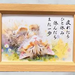 筆文字アート ひと休み 猫822