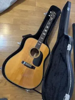 激レア★ARIA W-50D TOP単板 ヴィンテージ アコースティックギター 2026年最新】#単版の人気アイテム - メルカリ