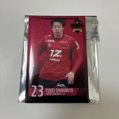 ツエーゲン金沢 ガラポン 四宮悠成