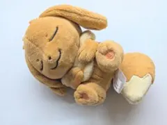 ポケモン プチぬいぐるみ イーブイ