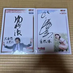ひし美ゆり子➕岡崎徹　直筆サインボードセット