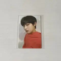 ENHYPEN ソヌ ペンライト トレカ