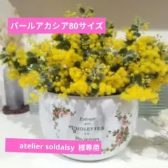 パールアカシア　生花　80サイズダンボーに箱いっぱい♡
