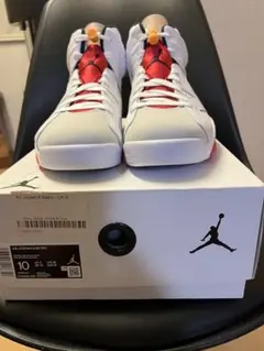 NIKE AIR JORDAN 6 RETRO HARE 8日まで値下げ