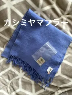 マフラーブルー