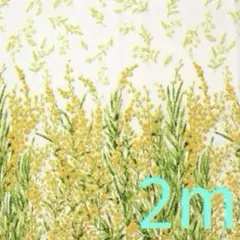 ミモザ　オフホワイト　mOment もーめんと　綿麻シーチング 生地　ハギレ