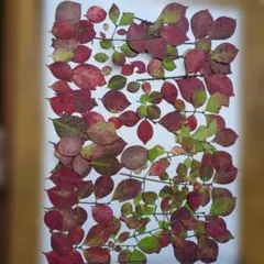 nana様 リクエスト 2点 まとめ商品